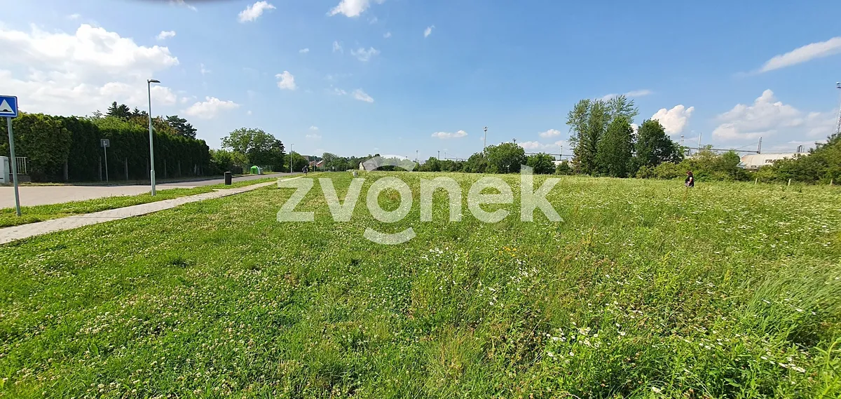 Fotka 8 z 16
